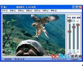 影音精灵在线观看,在线观影新体验，畅享视听盛宴